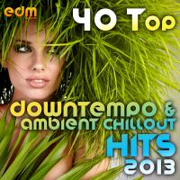 Artwork for 40 Top Downtempo & Ambient Chillout Hits 2013 (Best Of Psybient, Lounge, World, TripHop, Dub & Bass) by Various Artists