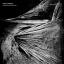Artwork for Dimension Modular (Hideo Kobayashi, H.I.D. Dub)