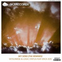 Artwork for Sky Sons (The Remixes) by Skysunrise