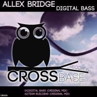 Artwork for Digital Bass EP by Allex Bridge