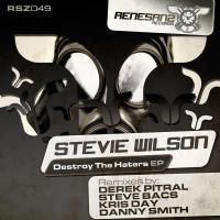 Artwork for Destroy The Haters EP by Stevie Wilson