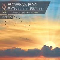 Artwork for Sign In The Sky by Borka FM