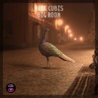 Mark Cubis