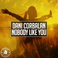 Artwork for Nobody Like You by Dani Corbalan