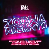 Artwork for Zodwa Wabantu by Unlimited Soul