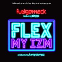 Artwork for Flex My Izm (feat. J-Diggs) by Fudgemack