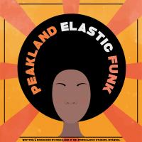 Artwork for Elastic Funk by Peakland