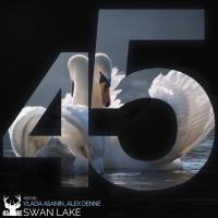 Artwork for Swan Lake (Asi Me Gusta Mix) by Vlada Asanin