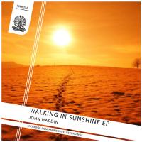 Artwork for Walking In Sunshine EP by John Hardin