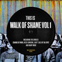 Artwork for This Is Walk Of Shame, Vol.1 by Per QX