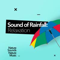 Artwork for Sound of Rainfall: Relaxation by Nature Sounds Nature Music