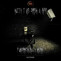 Artwork for Fundamentally Insane by Nutty T