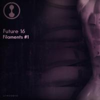 Artwork for Filaments #1 by Future 16