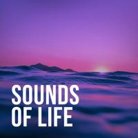 Artwork for Sounds Of Life by Nature Sounds