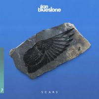 Artwork for Scars by Ilan Bluestone