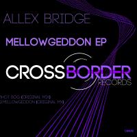 Artwork for Mellowgeddon EP by Allex Bridge