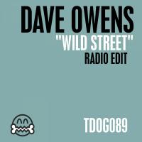 Artwork for Wild Street by Dave Owens