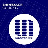 Artwork for Catharsis by Amir Hussain