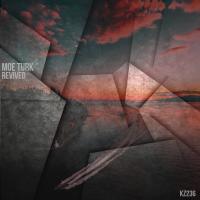 Artwork for ReviveD by Moe Turk