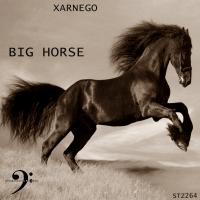 Artwork for Big Horse by Xarnego