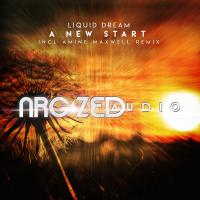 Artwork for A New Start by Liquid Dream