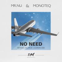 Artwork for No Need by Mr.Nu