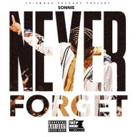 Artwork for Never Forget (feat. Lul) by Sonnie