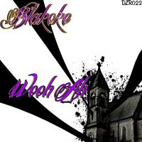 Artwork for Wooh Ah by Blakoke