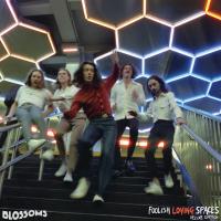 Artwork for Foolish Loving Spaces (Extended Edition) by Blossoms