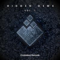 Artwork for Hidden Gems, Vol.1 by Various Artists