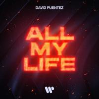 Artwork for All My Life by David Puentez