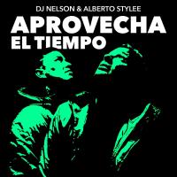 Artwork for Aprovecha el Tiempo by DJ Nelson