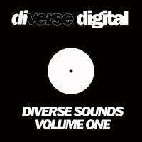 Artwork for Diverse Sounds Voume One by Various Artists