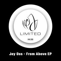 Artwork for From Above EP by Jay Oss