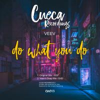 Artwork for Do What You Do by Veev