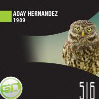 Artwork for 1989 by Aday Hernández