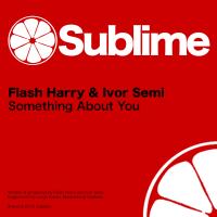 Artwork for Something About You by Flash Harry