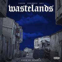 Artwork for Wastelands by Young Drummer Boy