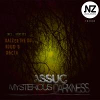 Artwork for Mysterious Darkness by Assuc