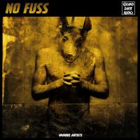 Artwork for No Fuss by Various Artists