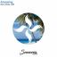 Artwork for Amazing (Original Mix)