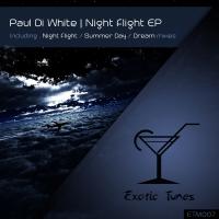 Artwork for Night Flight EP by Paul Di White