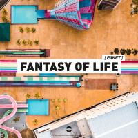 Artwork for Fantasy Of Life by Paket