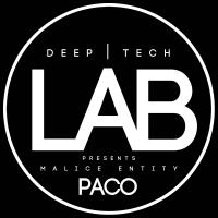 Artwork for Paco by Malice Entity