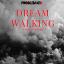 Artwork for Dream Walking
