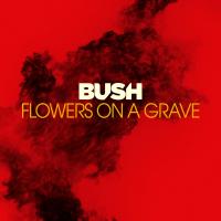 Artwork for Flowers On A Grave by Bush