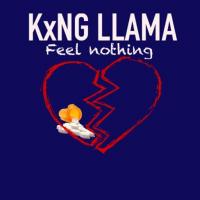 Artwork for Feel Nothing by KxNG LLAMA