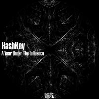 Artwork for A Year Under The Influence by HashKey