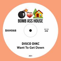 Artwork for Want To Get Down by DISCO DIKC