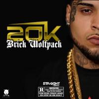 Artwork for 20K by Brick Wolfpack